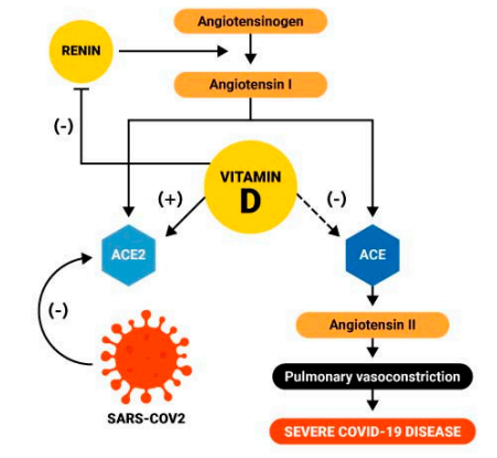 covid vitamina D