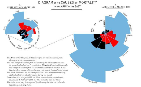 florence nightingale ospedale decessi grafico