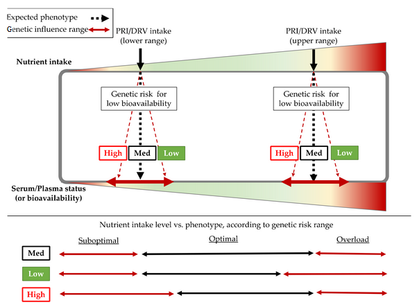 sistema immunitario genetica