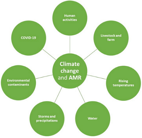crisi clima amr
