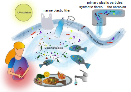 nanoparticelle contaminazione