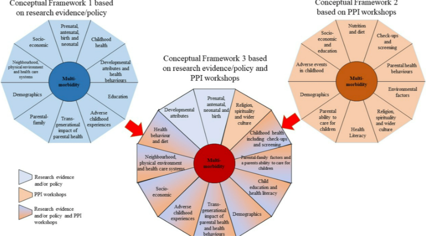 sviluppo framework concettuali