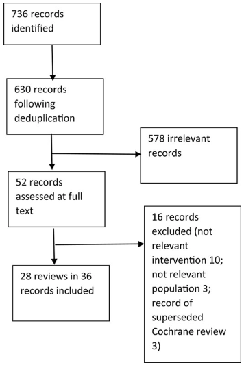 virtual ward fig1