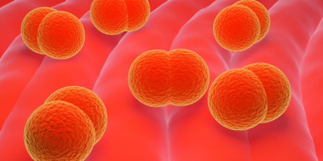 Immagine decorativa: Meningite: le linee guida OMS su diagnosi, trattamento e cura