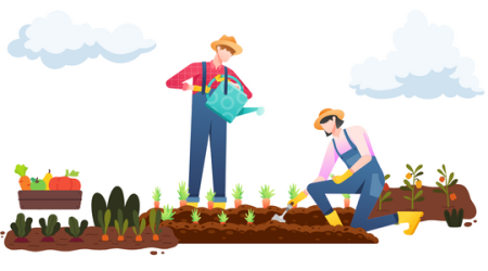 Immagine decorativa: Quando il giardinaggio diventa “terapia”: orti sociali ed effetti sulla comunità
